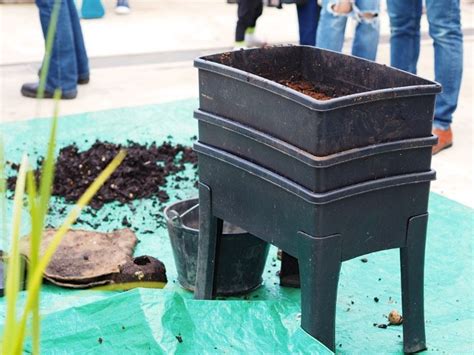 The container on top is where the organic matter and worms will go. How to Build or Rennovate a Worm Farm | Worm farm ...