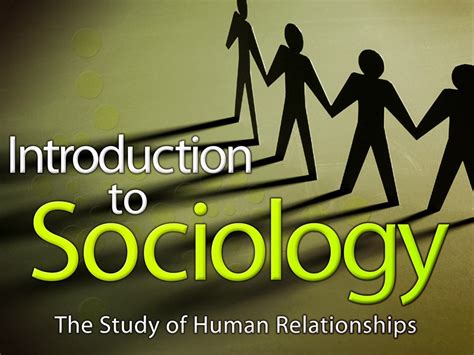 Sociology I The Study Of Human Relationships Edynamic Learning