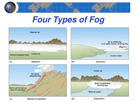 As Fog Comes To Delhi A Look At The Phenomenon And What Causes It