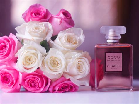 Coco Chanel Wallpapers FREE Pictures on GreePX