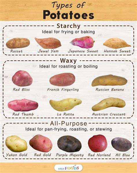 15 Different Types Of Potatoes With Pictures Types Of Potatoes