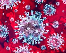 Coronaviruses are a group of related rna viruses that cause diseases in mammals and birds. Coronavirus (COVID-19) - Cairns Regional Council