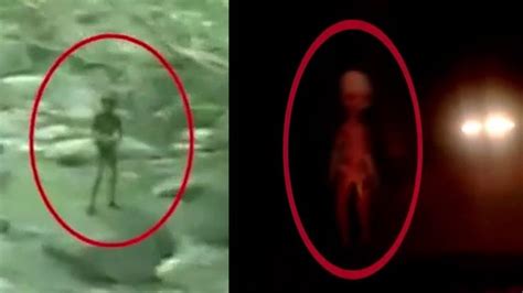 Aliens Are Here Scary Real Encounters With Alien Creatures You