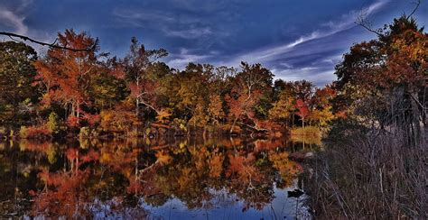 Autumn Forest Pond Scene 2016 This Is A Picture Of The Tre Flickr