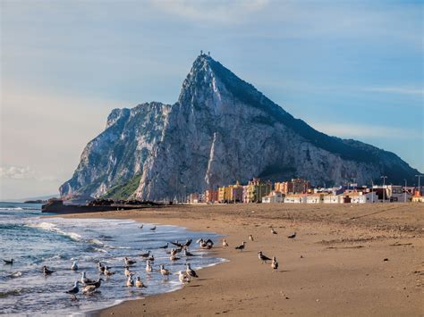 Maybe you would like to learn more about one of these? Gibraltar - Äffchen, Höhlen und Panoramen | Urlaubsguru