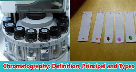 Chromatography Definition Principal And Types