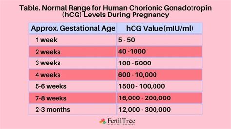 Hcg Levels After Ivf Embryo Transfer By Dr Firuza Parikh