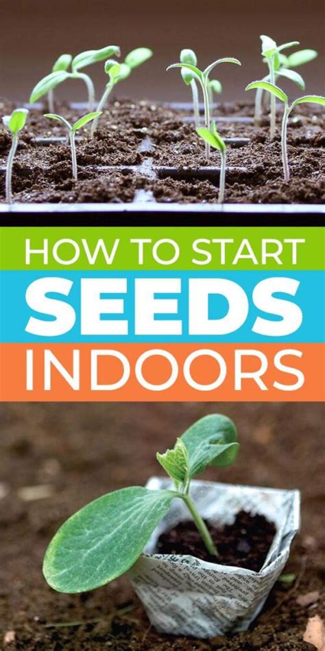 How To Start Planting Seeds Indoors Hobby Granding