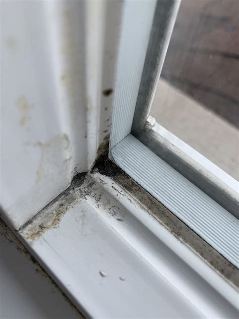 Scrub the area with some elbow grease to break up the mold particles. Any eco friendly cleaning solution tips to these black ...