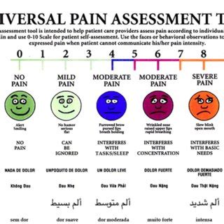 The Universal Pain Assessment Tool UPAT That Has Been Used To Download Scientific Diagram
