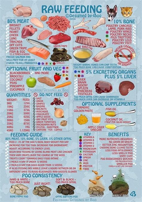 While there is anecdotal evidence that cats do well on vegetarian food, 47 hard evidence is lacking on the adequacy (or lack thereof) of a vegetarian diet. Raw feeding guide | Raw dog food recipes, Healthy dog food ...