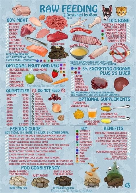 May 14, 2021 · meal base. Raw feeding guide | Raw dog food recipes, Healthy dog food ...