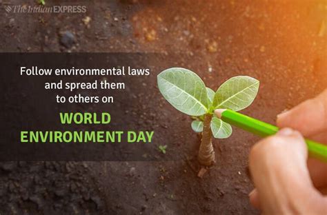 Best environmental quotes to read right now. World Environment Day 2019: Theme, Slogans, Quotes, Images ...