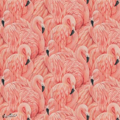 Maybe you would like to learn more about one of these? Download Pink Flamingo Wallpaper Gallery
