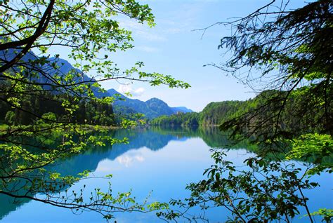 Nature Landscape Trees Lake Mountain Alps Forest Water Summer
