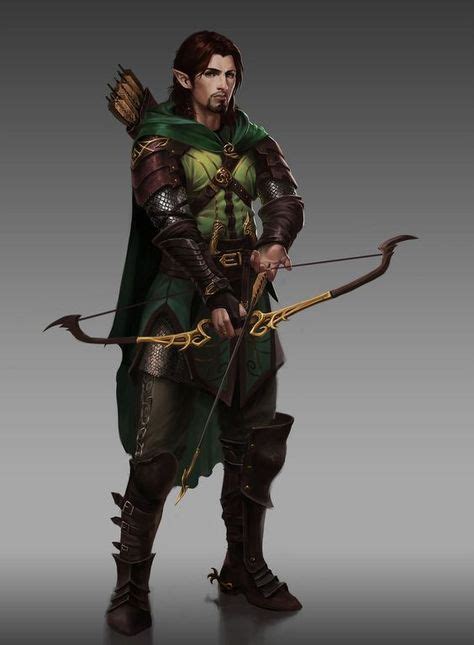 m half elf ranger med armor cloak longbow hawke wood elf elf ranger dungeons dragons