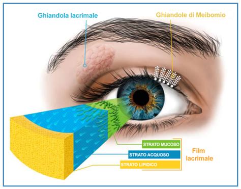 Sindrome Dell Occhio Secco Aktivision