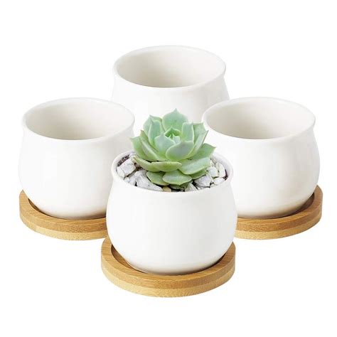Greenaholics Succulent Plant Pots 354 Inch Small Ceramic Square