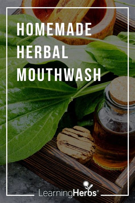 holistic dental health and homemade mouthwash in 2020 homemade mouthwash herbal medicine