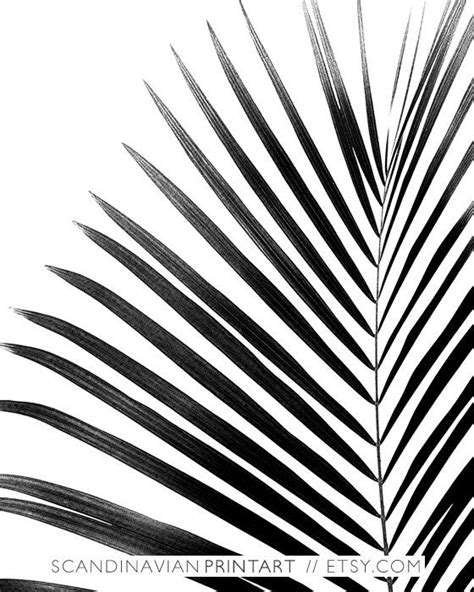 Palm Leaf Leaf Print Botanical Print Black And White Palm Tropical