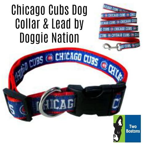Pin By Two Bostons On Dog Collars And Leashes Chicago Cubs Cubs Dog