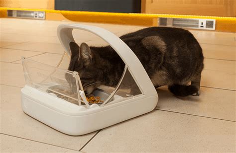 Surefeed microchip pet feeder is a selective microchip feeder that works with rfid technology. Sure Flap Sure Feed Microchip Pet Feeder - NoveltyStreet