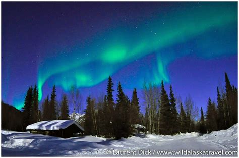 2023 Alaska Northern Lights Tour Wild Alaska Travel