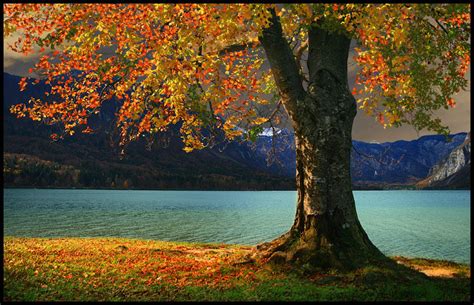 Fall Beautiful Nature Photo 22666767 Fanpop