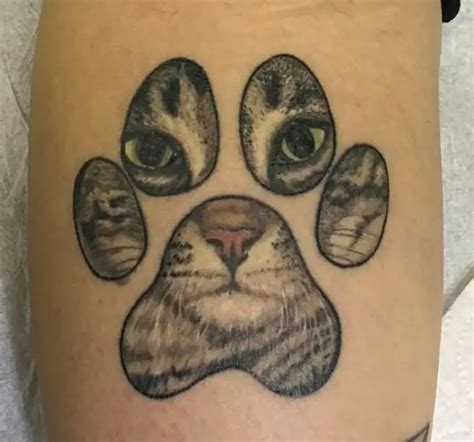 Best Cat Paw Print Tattoo Designs The Paws