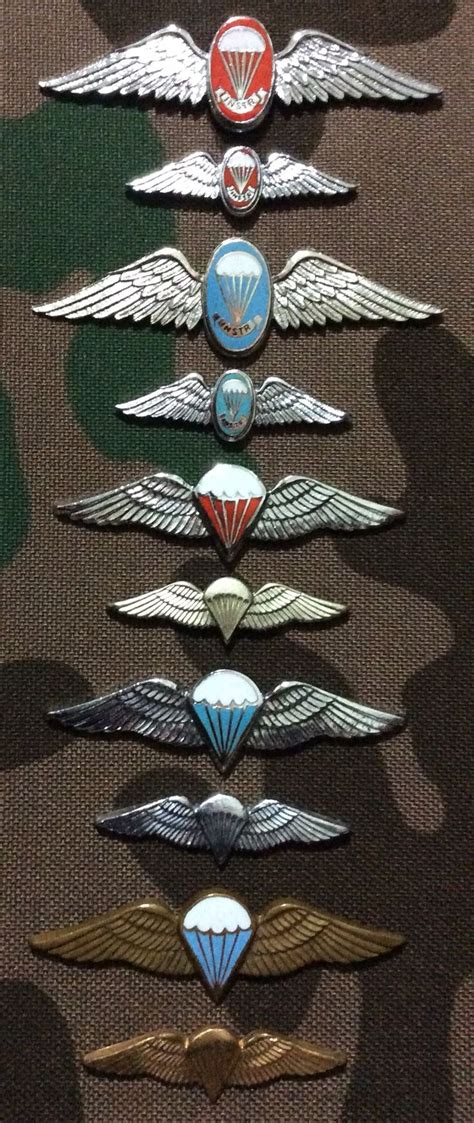 South African Paratrooper Wings Military Insignia Military Ranks