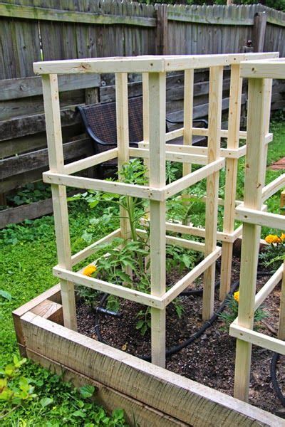 Tomato Cage Diy Tomato Trellis Tomato Cages Garden Trellis