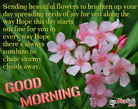 A friend like you is pretty hard to come by in life. Good Morning Quotes With Roses. QuotesGram