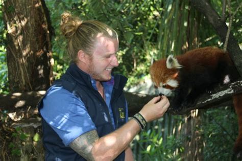 Josh Reports From Red Panda Network Zoo