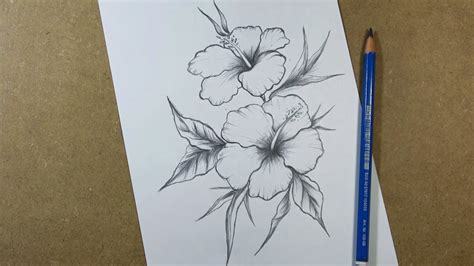 How To Draw Hibiscus Flower Step By Step Pencil Youtube