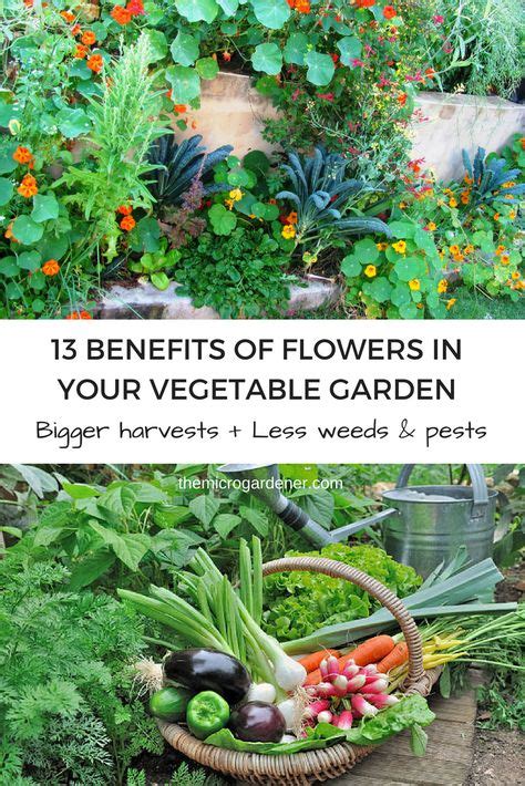 13 Benefits Of Growing Flowers In Your Vegetable Garden Growing