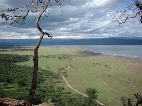 What You Need To Know When Choosing The Best Safari In Kenya