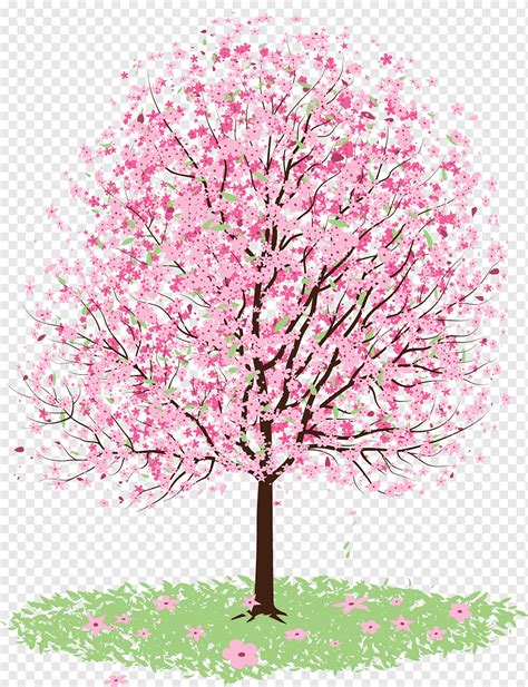 árbol De Cerezo Dibujo De Cerezo Flor De Cerezo Pintura De Acuarela