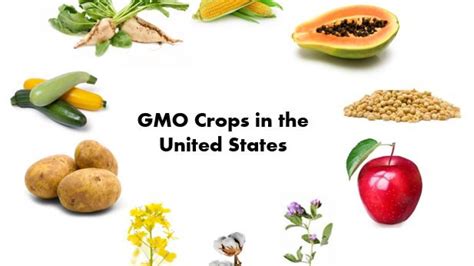 What Do You Know About Bioengineered Crops Aka Gmos Uc Davis