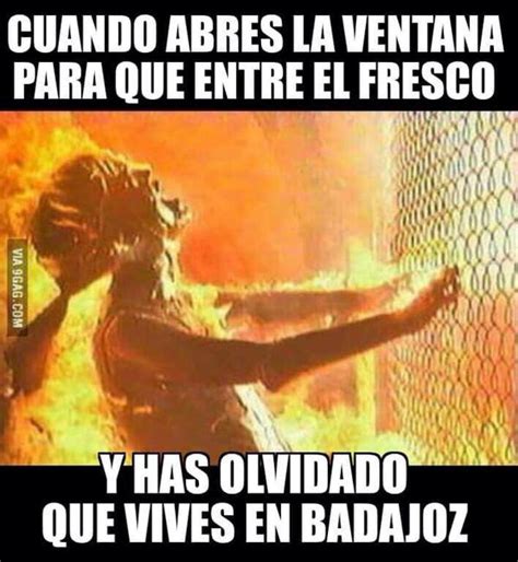 Los Mejores Memes De La Ola De Calor En España