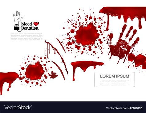 Realistic Bloody Elements Template Royalty Free Vector Image