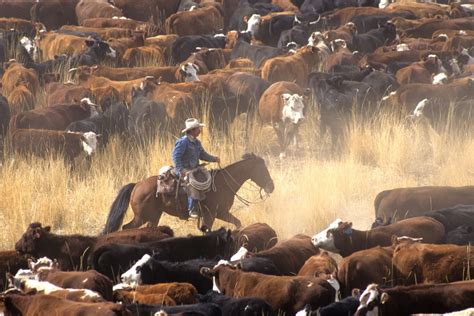 The Economics Of Yellowstone John Dutton Needs A Mentor