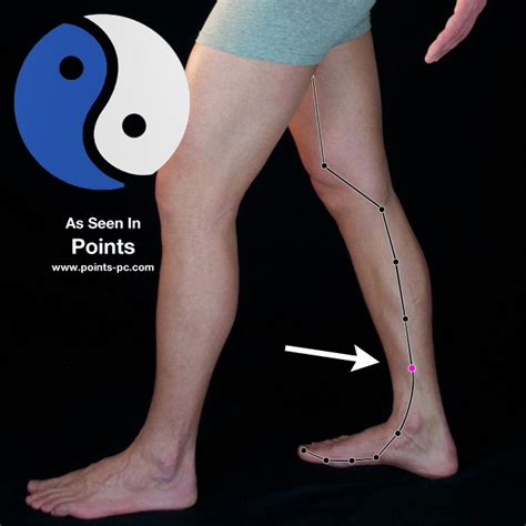 Acupuncture Point Spleen 6 Acupuncture Technology News