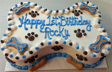 Most Creative Ways To Celebrate Your Pet Dogs Birthday In Singapore