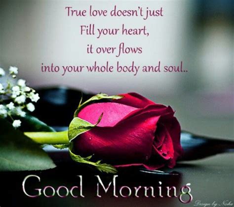 Good Morning True Love Pictures Photos And Images For Facebook