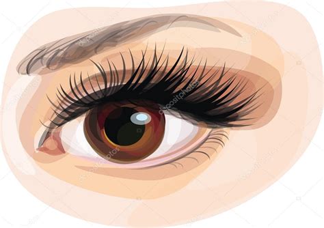 Vector Of Beautiful Brown Womans Eye Stock Vector Image By ©rvika