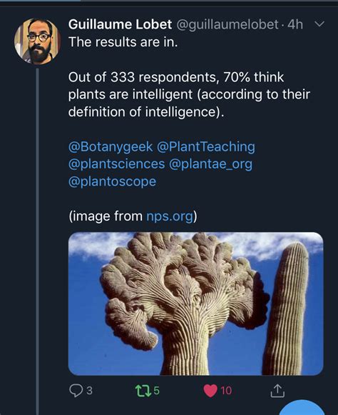 Are Plants Conscious Are They Intelligent The Debate Goes On