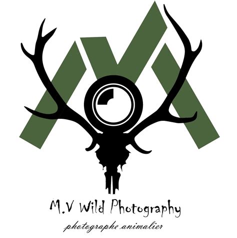 Mv Wild Photography
