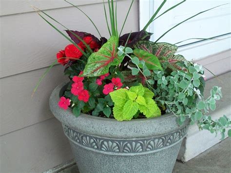 17 Best Images About Hanging Baskets And Shade Planters On Pinterest