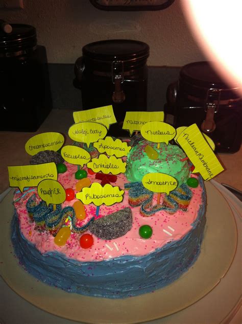 Animal Cell Project Cake All Things About Pets