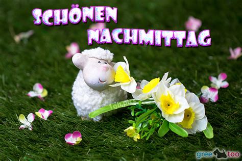 Wir haben über 80 lustige bilder, um die stimmung zu verbessern. Schönen Nachmittag Bilder, Gästebuchbilder, GB Pics | 1gb.pics